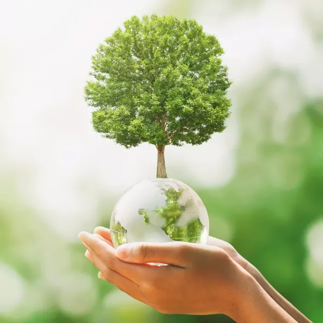 Sustainability