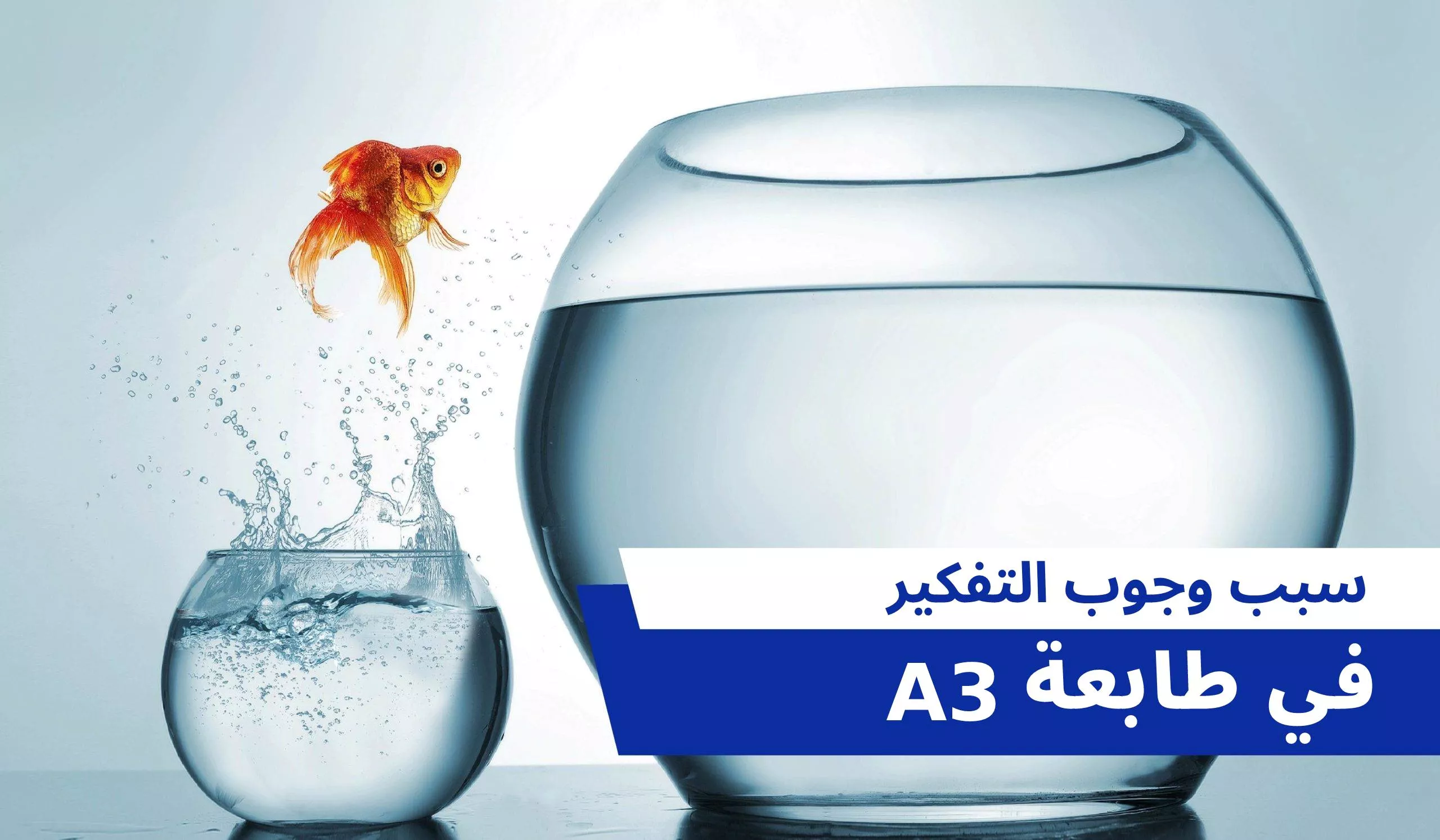 هل تبحث عن مقدرات طباعة خاصة  بالأحجام الكبيرة؟ إليك سبب وجوب التفكير في طابعة A3.