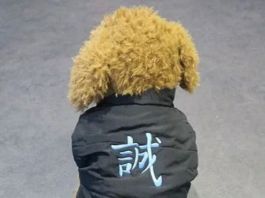 Embroidery Designs - Personalized Pet Jacket